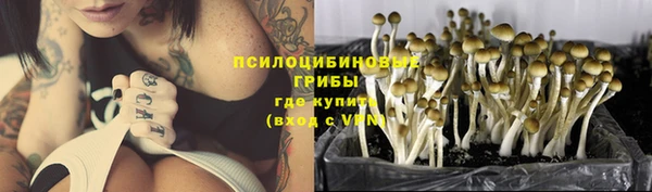 спиды Армянск