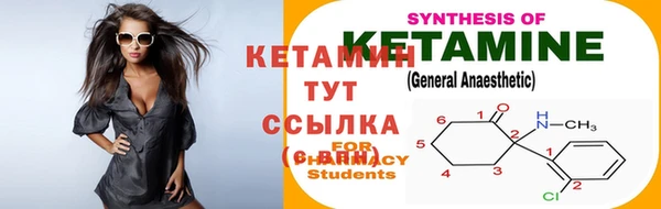 крисы Арсеньев