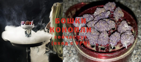 крисы Арсеньев