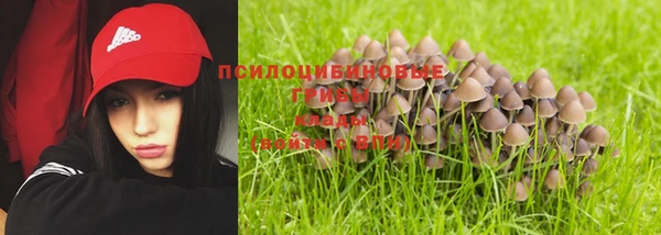 а пвп мука Аркадак